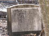 image of grave number 259888